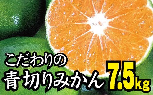 【2024年秋頃発送予約分】【農家直送】こだわりの青切りみかん 約7.5kg  有機質肥料100%　 サイズ混合　※2024年9月下旬より順次発送予定（お届け日指定不可）【nuk107C】