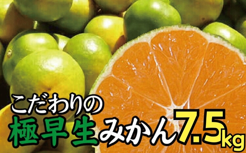 【2024年秋頃発送予約分】【農家直送】こだわりの極早生みかん 約7.5kg【数量限定】 有機質肥料100% サイズ混合 ※2024年9月末より順次発送予定（お届け日指定不可）【nuk136B】