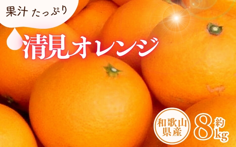 清見オレンジ約8kg / 果実サイズおまかせ ※2025年2月中旬～2025年4月下旬頃発送予定 / 紀伊国屋文左衛門本舗【sgtb401B】