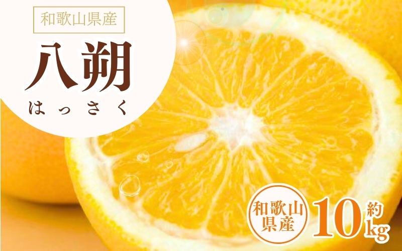 八朔(はっさく) 約10kg サイズおまかせ　紀伊国屋文左衛門本舗 ※2025年1月下旬～2025年4月上旬頃より順次発送予定【sgtb411A】