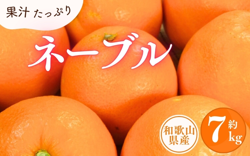 ネーブル 約7kg/サイズおまかせ　※2025年1月中旬～2025年2月上旬頃に順次発送予定(お届け日指定不可)　紀伊国屋文左衛門本舗【sgtb430A】