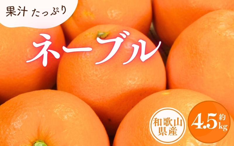 ネーブル 約4.5kg / サイズおまかせ　※2025年1月中旬～2025年2月上旬頃に順次発送予定(お届け日指定不可)　紀伊国屋文左衛門本舗　【sgtb431B】