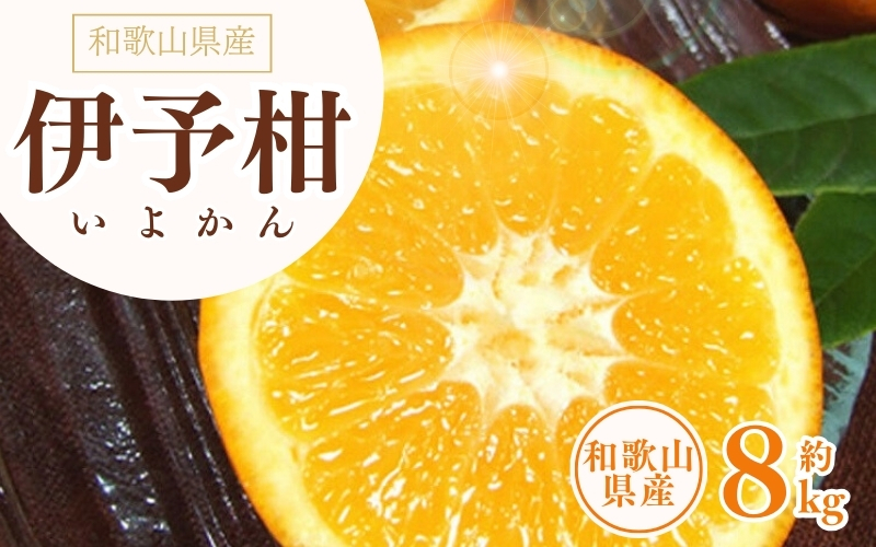 伊予柑(いよかん) 約8kg / サイズおまかせ　※2025年1月中旬～2025年2月中旬頃に順次発送予定(お届け日指定不可)　紀伊国屋文左衛門本舗　【sgtb440A】