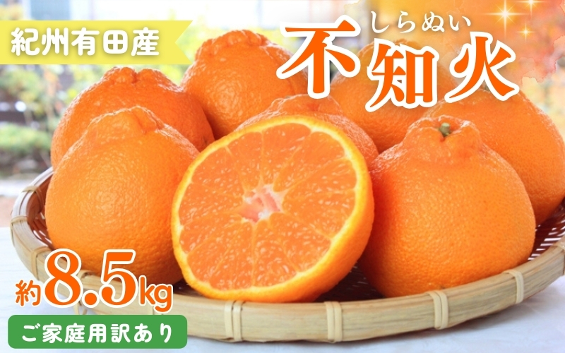 【ご家庭用訳あり】紀州有田産不知火(しらぬひ) 約8.5kg 【予約】　※2025年2月中旬頃～3月上旬頃に順次発送予定(お届け日指定不可)