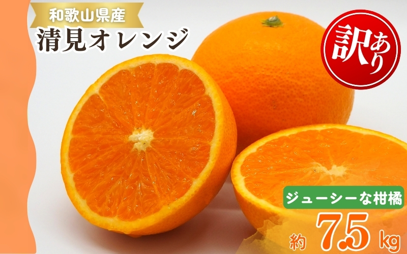 【ご家庭用訳アリ】紀州有田産清見オレンジ　7.5kg 	※2026年3月下旬頃〜2026年4月中旬頃に順次発送予定(お届け日指定不可)【uot730】