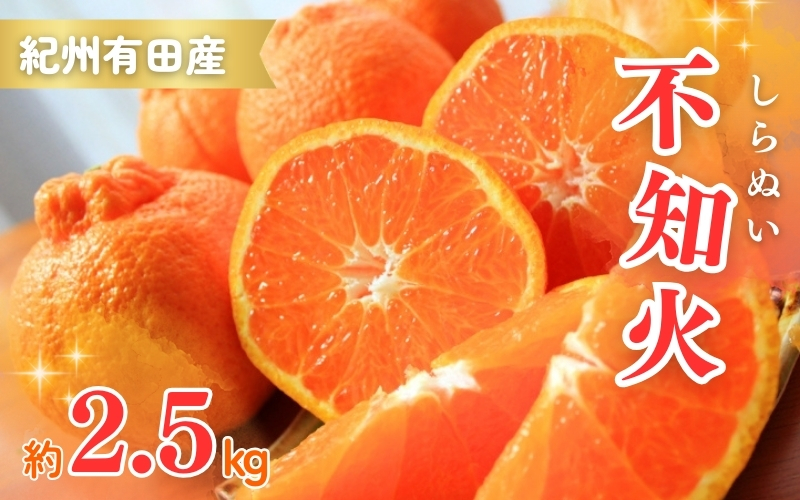 【先行予約】紀州有田産不知火(しらぬひ) 2.5kg ※2025年2月中旬頃～3月中旬頃に順次発送予定（お届け日指定不可）/ みかん 不知火 和歌山 フルーツ 有田【uot794】