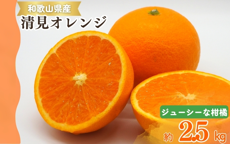 【予約】【ジューシー】清見オレンジ 2.5kg　※2025年3月下旬〜2025年4月中旬頃に順次発送予定（お届け日指定不可）【uot832】