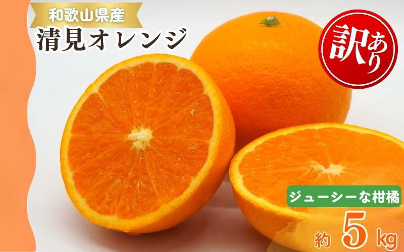 【ご家庭用訳アリ】紀州有田産清見オレンジ　5kg 	※2025年3月下旬〜2025年4月中旬頃に順次発送予定(お届け日指定不可)【uot833】