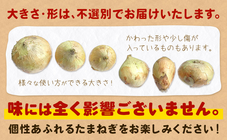 訳あり たまねぎ 新たまねぎ 新 玉ねぎ 紀の川市産 約5kg 不選別《5月下旬-7月中旬頃出荷》和歌山県 紀の川市 送料無料 野菜 玉葱 新玉ねぎ 新たま 旬 お取り寄せ 訳あり野菜