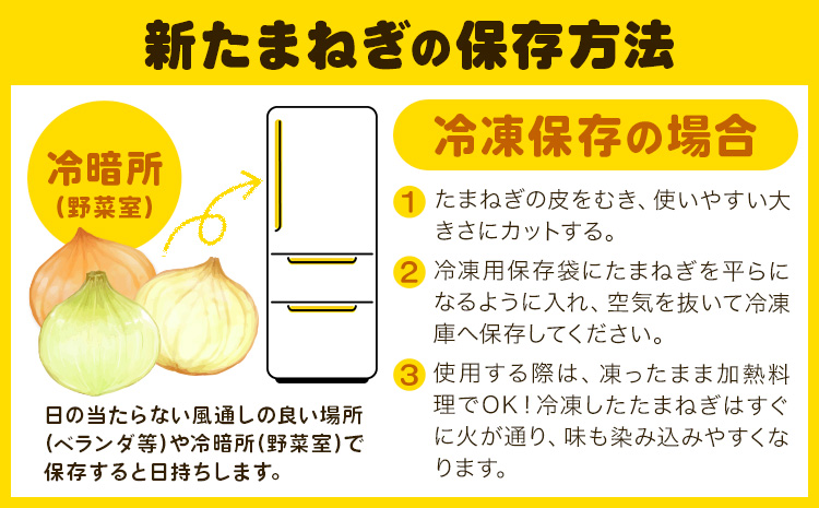 訳あり たまねぎ 新たまねぎ 新 玉ねぎ 紀の川市産 約10kg 不選別《5月下旬-7月中旬頃出荷》和歌山県 紀の川市 送料無料 野菜 玉葱 新玉ねぎ 新たま 旬 お取り寄せ 訳あり野菜