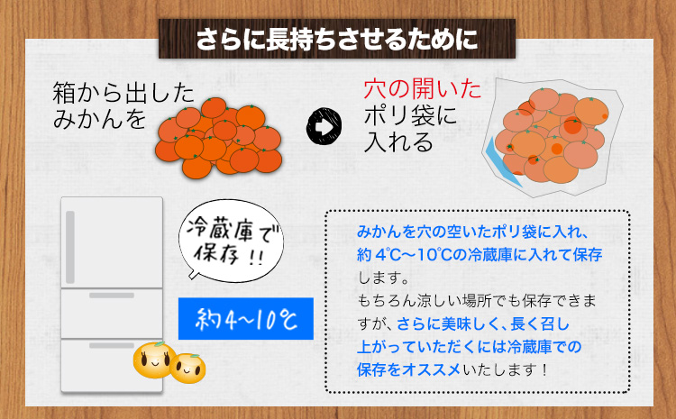 【ふるさと納税】【訳あり/サイズ不選別】 和歌山みかん 約10kg 和歌山県産 《11月中旬から1月中旬に出荷予定(土日祝除く)》たっぷり ご家庭用 2L〜2S 産地直送 みかん 旬 蜜柑 ミカン 柑橘 果物 フルーツ 和歌山県 紀の川市