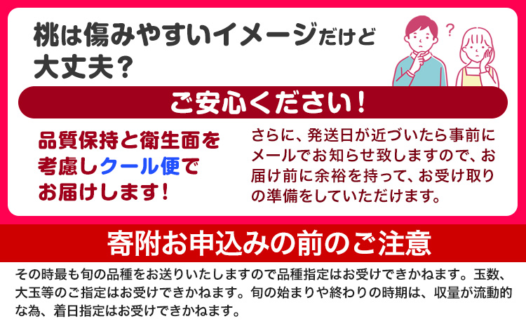 桃 もも 紀の里の桃 約4kg 《2025年6月中旬-8月中旬頃出荷》 和歌山県産 送料無料 10-15玉入り 旬の桃を厳選 あかつき モモ 果物 フルーツ お取り寄せ 予約 和歌山 白鳳 日川白鳳 八旗白鳳 清水白桃 川中島白桃 つきあかり なつおとめ