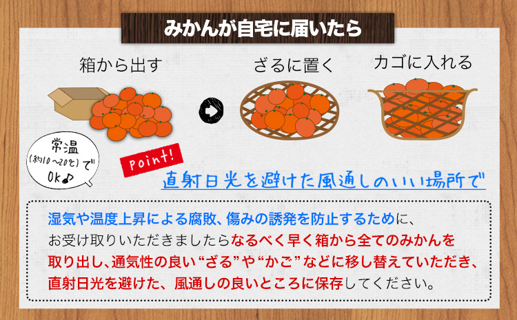 【ふるさと納税】【訳あり/サイズ不選別】 和歌山みかん 約10kg 和歌山県産 《11月中旬から1月中旬に出荷予定(土日祝除く)》たっぷり ご家庭用 2L〜2S 産地直送 みかん 旬 蜜柑 ミカン 柑橘 果物 フルーツ 和歌山県 紀の川市