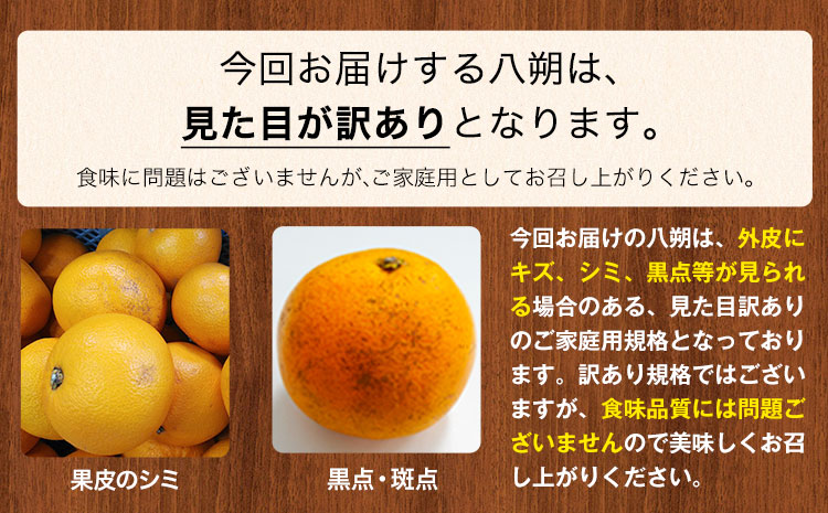 【先行予約】【訳あり/ご家庭用】はっさく 八朔 4kg＋1kg 計約5kg サンファーム《1月上旬-3月末頃より出荷予定》和歌山県 紀の川市 ご家庭用 八朔 訳あり みかん 王国(F-1)