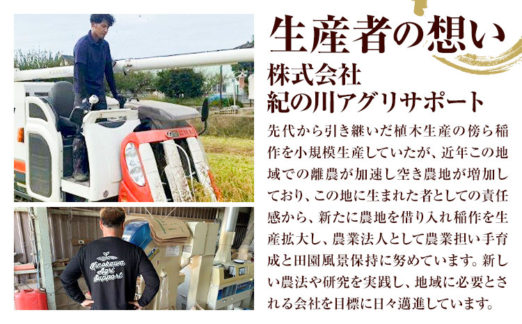 什å6å¹Žç£ ç±³ 5kg ãç±³ çœç±³ 5ãã çŽã®å·å¿æŽç±³ã30æ¥ä»¥å
ã«åºè·äºå®ïŒåæ¥ç¥é€ãïŒãåæå±±ç çŽã®å·åž éæç¡æ åœç£ ãã ç±³ çœç±³ 粟米st-p