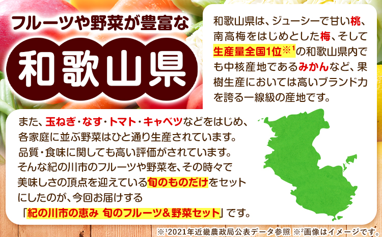 12ヶ月定期便 紀の川市の恵み 旬のフルーツ＆野菜セット 計8~10品《お申込み月翌月から出荷開始》和歌山県 紀の川市 フルーツ 果物 野菜 セット 桃 梅 みかん 新玉ねぎ なす トマト キャベツぶどう シャイン 定期便