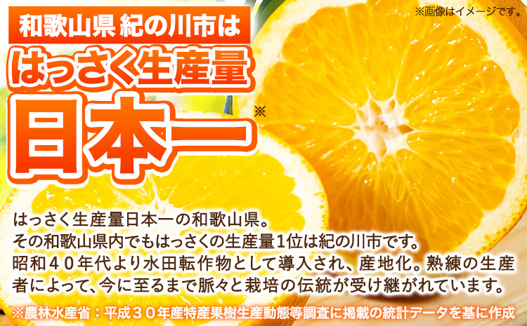 八朔 約10kg ｍ＆ｎ果実園《2025年1月下旬-3月中旬頃出荷》和歌山県 紀の川市 果物 フルーツ はっさく 柑橘類 送料無料