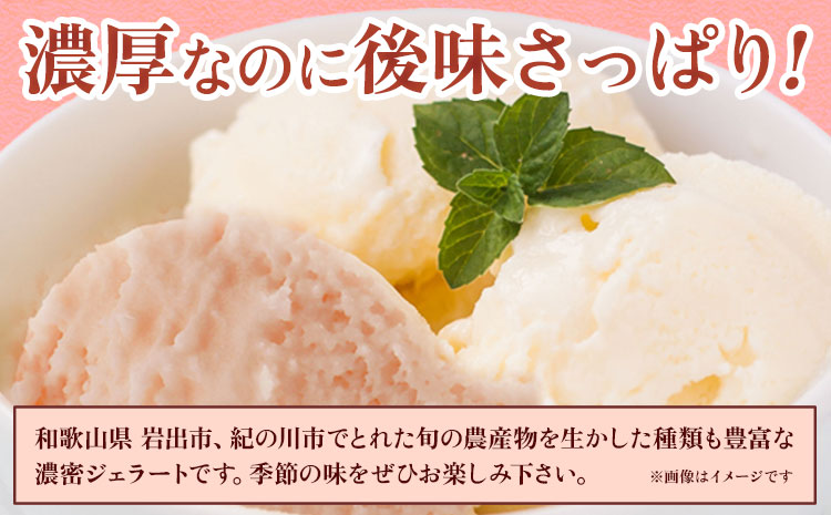 季節のジェラート 6種セット （ ミルク・ 桃 +ランダム4種）《30日以内に出荷予定(土日祝除く)》和歌山県 紀の川市 JAわかやま 紀の里地域本部 ジェラート アイス デザート カップアイス ぶどう みかん キウイ 苺 f-1 