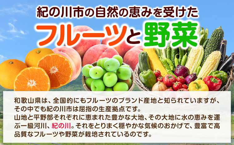 12ヶ月定期便 紀の川市の恵み 旬のフルーツ＆野菜セット 計8~10品《お申込み月翌月から出荷開始》和歌山県 紀の川市 フルーツ 果物 野菜 セット 桃 梅 みかん 新玉ねぎ なす トマト キャベツ