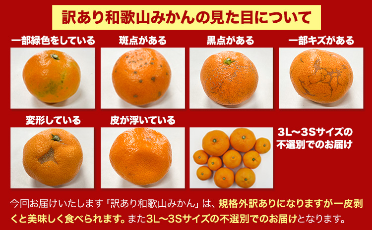 【訳あり/サイズ不選別】 和歌山みかん 約5kg 和歌山県産 《11月中旬から1月中旬に出荷予定(土日祝除く)》たっぷり ご家庭用 2L〜2S 産地直送 みかん 旬 蜜柑 ミカン 柑橘 果物 フルーツ 和歌山県 紀の川市(F-15)
