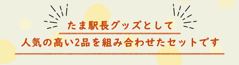 たま駅長tシャツ たまニタマクリアファイルセット サイズ M 着丈68 身幅50 肩幅46 袖丈21 和歌山電鐵株式会社 90日以内に順次出荷 土日祝除く 和歌山県 紀の川市 Jalふるさと納税 Jalのマイルがたまるふるさと納税サイト