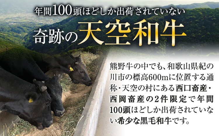 年間100頭程の奇跡の天空和牛!  サーロインステーキ 約750g(約250g×3枚) 有限会社松牛 《30日以内に出荷予定(土日祝除く)》サーロインステーキ 黒毛和牛 牛 牛肉 牛肉ステーキ ステーキ(F)