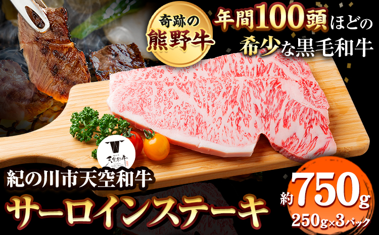 年間100頭程の奇跡の天空和牛!  サーロインステーキ 約750g(約250g×3枚) 有限会社松牛 《30日以内に出荷予定(土日祝除く)》サーロインステーキ 黒毛和牛 牛 牛肉 牛肉ステーキ ステーキ(F)