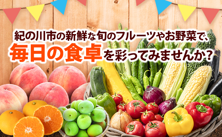 6ヶ月定期便 紀の川市の恵み 旬のフルーツ＆野菜セット 計8~10品《お申込み月翌月から出荷開始》和歌山県 紀の川市 フルーツ 果物 野菜 セット 桃 梅 みかん 新玉ねぎ なす トマト キャベツ