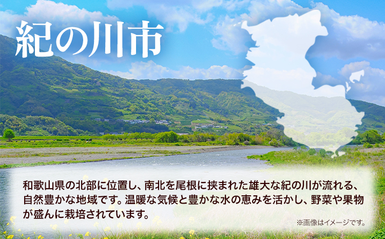 令和6年産 米 10kg  お米 白米 10キロ 紀の川応援米《30日以内に出荷予定（土日祝除く）》和歌山県 紀の川市 送料無料 国産 こめ 米 白米 精米