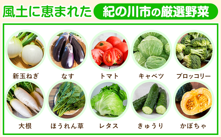 6ヶ月定期便 紀の川市の恵み 旬のフルーツ＆野菜セット 計8~10品《お申込み月翌月から出荷開始》和歌山県 紀の川市 フルーツ 果物 野菜 セット 桃 梅 みかん 新玉ねぎ なす トマト キャベツ