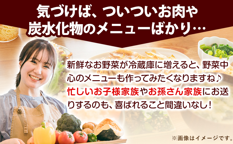 3ヶ月定期便 紀の川市の恵み 旬のフルーツ＆野菜セット 計8~10品《お申込み月翌月から出荷開始》和歌山県 紀の川市 フルーツ 果物 野菜 セット 桃 梅 みかん 新玉ねぎ なす トマト キャベツ