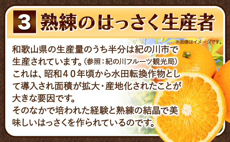 【先行予約】訳あり サイズ不選別 早生･晩生指定不可 はっさく 約4kg (4L~Sサイズ)《2月上旬-3月中旬頃出荷》和歌山県 紀の川市 八朔 柑橘 果物 フルーツ ビタミンC 果肉 みかん王国よりお届け!（F-6）