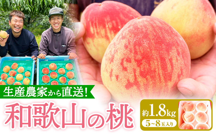 和歌山県産の桃 約1.8kg （5〜8玉） GREEN JUNCTION株式会社《2025年6月中旬-2025年8月末頃出荷》和歌山県 紀の川市 桃 果物 果実 フルーツ 自然栽培 送料無料