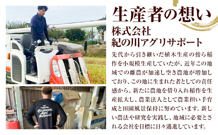 令和6年産 米 10kg  お米 白米 10キロ 紀の川応援米《30日以内に出荷予定（土日祝除く）》和歌山県 紀の川市 送料無料 国産 こめ 米 白米 精米