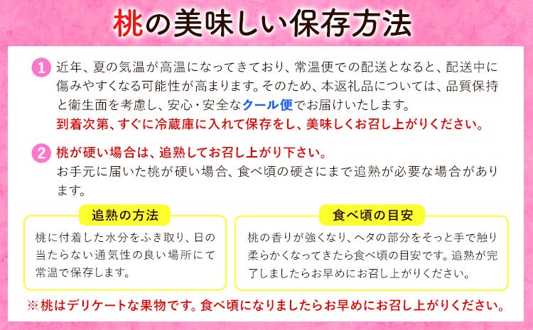 桃 もも【2025年先行予約】和歌山県産 紀の里の桃 【2ヶ月定期便】約2kg (6-8玉入り) 2回 お届け《6月中旬-8月中旬頃出荷》 桃 2025年 先行 桃 先行予約2025 もも2025 白鳳 日川白鳳 八旗白鳳 清水白桃 川中島白桃 つきあかり もも 白鳳 先行予約 もも川中島 もも2025 もも 白鳳 先行予約 もも 先行予約 もも 和歌山 もも