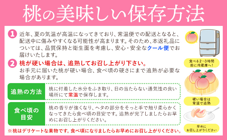 和歌山県産の桃 約1.8kg （5〜8玉） GREEN JUNCTION株式会社《2025年6月中旬-2025年8月末頃出荷》和歌山県 紀の川市 桃 果物 果実 フルーツ 自然栽培 送料無料