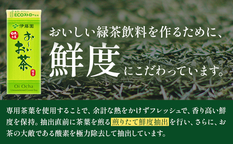 紀の川市産 紙パック飲料 おーいお茶 250ml×24本 1ケース 株式会社伊藤園 《30日以内に出荷予定(土日祝除く)》 和歌山県 紀の川市 お茶 おーいお茶 緑茶 日本茶 送料無料(F-4)