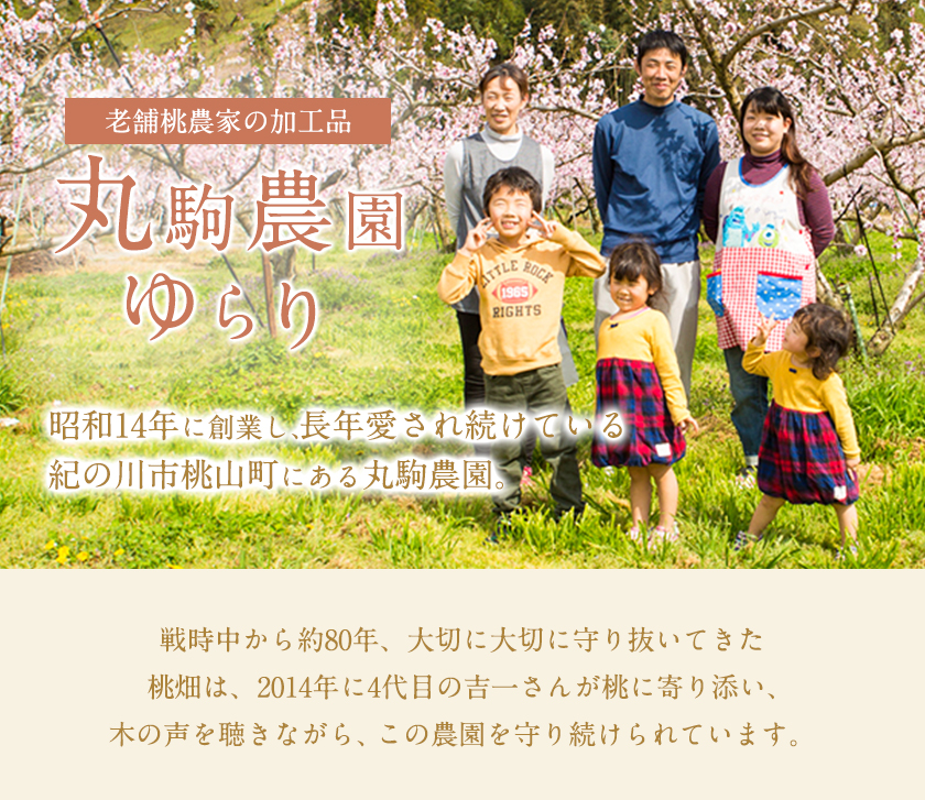 フルーツジャム3個とセミドライフルーツ3個のセット 丸駒農園ゆらり 《90日以内に出荷予定(土日祝除く)》和歌山県 紀の川市