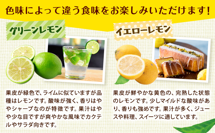 èš³ãã åœç£ã¬ã¢ã³ çŽ2kg ã10æäžæ¬-1æäžæ¬é åºè·ãç£å°çŽé ã¬ã¢ã³ 檞檬 ã°ãªãŒã³ã¬ã¢ã³ ã€ãšããŒã¬ã¢ã³ é²è
å€äžäœ¿çš æç© ãã«ãŒã(F-2)