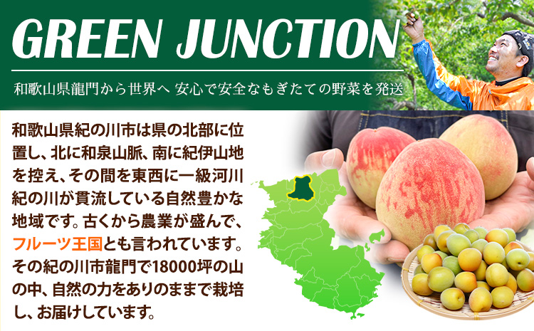 和歌山県産の桃 約3.8kg (10~18玉) GREEN JUNCTION株式会社《2025年6月中旬-2025年8月末頃出荷》和歌山県 紀の川市 桃 果物 果実 フルーツ 自然栽培 送料無料