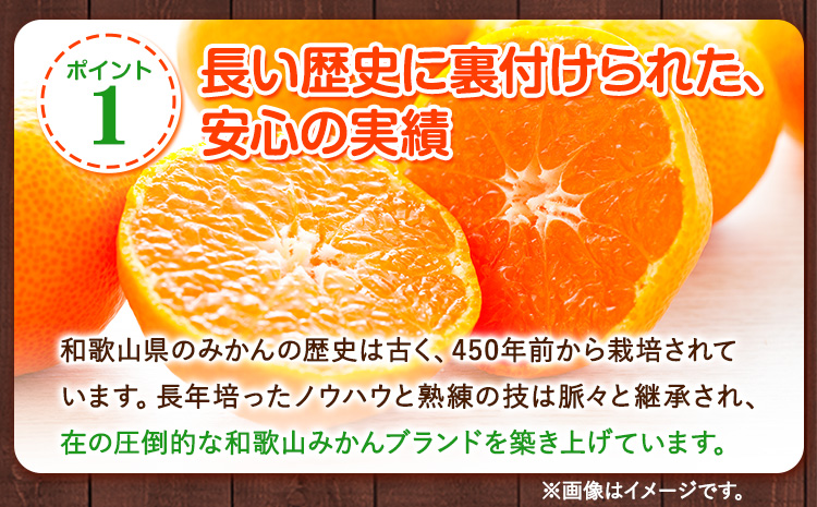 【訳あり/サイズ不選別】 和歌山みかん 約5kg 和歌山県産 《11月中旬から1月中旬に出荷予定(土日祝除く)》たっぷり ご家庭用 2L〜2S 産地直送 みかん 旬 蜜柑 ミカン 柑橘 果物 フルーツ 和歌山県 紀の川市(F-15)