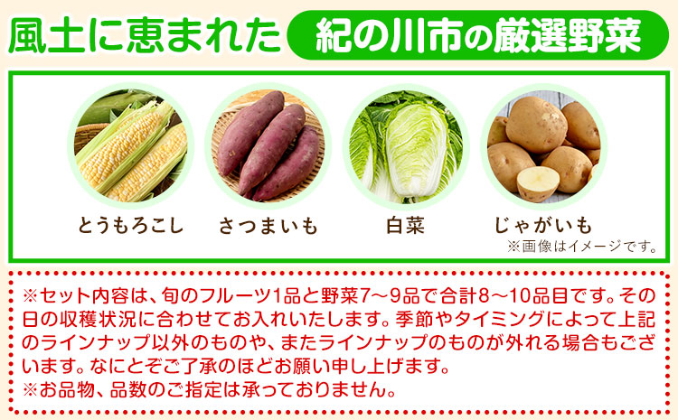 çŽã®å·åžã®æµã¿ æ¬ã®ãã«ãŒãïŒéèã»ãã èš8~10åã30æ¥ä»¥å
ã«åºè·äºå®(忥ç¥é€ã)ãåæå±±ç çŽã®å·åž ãã«ãŒã æç© éè ã»ãã æ¡ æ¢
ã¿ãã æ°çãã ãªã ããã ãã£ããã¶ã©ã ã·ã£ã€ã³