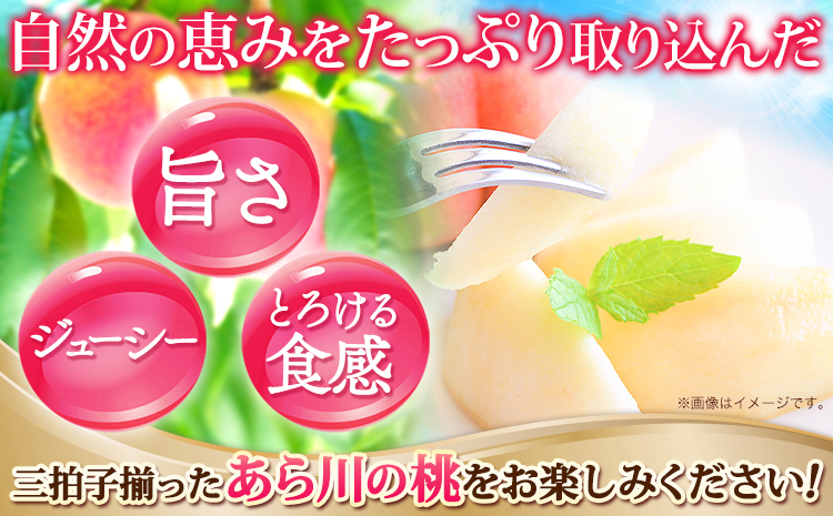 先行予約 桃 もも あら川の桃 和歌山県産 紀州 の名産 旬の桃厳選 約2kg 5-8玉入り 《2025年6月中旬-8月中旬頃出荷》 果物 フルーツ 和歌山 あかつき 紀の川 あらかわ 白鳳 日川白鳳 八旗白鳳 清水白桃 川中島白桃 つきあかり