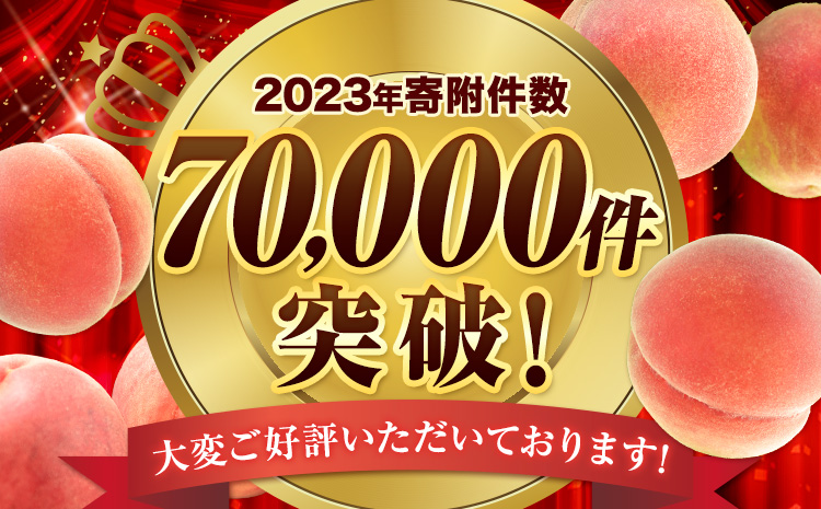 桃 もも【2025年先行予約】和歌山県産 紀の里の桃 【2ヶ月定期便】約2kg (6-8玉入り) 2回 お届け《6月中旬-8月中旬頃出荷》 桃 2025年 先行 桃 先行予約2025 もも2025 白鳳 日川白鳳 八旗白鳳 清水白桃 川中島白桃 つきあかり もも 白鳳 先行予約 もも川中島 もも2025 もも 白鳳 先行予約 もも 先行予約 もも 和歌山 もも