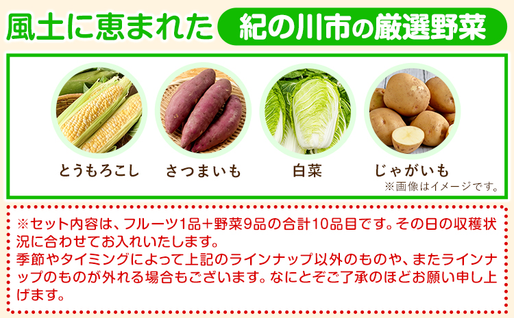 【3ヶ月定期便】紀の川市の恵み 旬のフルーツ＆野菜セット 計8~10品《お申込み月翌月から出荷開始》和歌山県 紀の川市 フルーツ 果物 野菜 セット 桃 梅 みかん 新玉ねぎ なす トマト キャベツぶどう シャイン