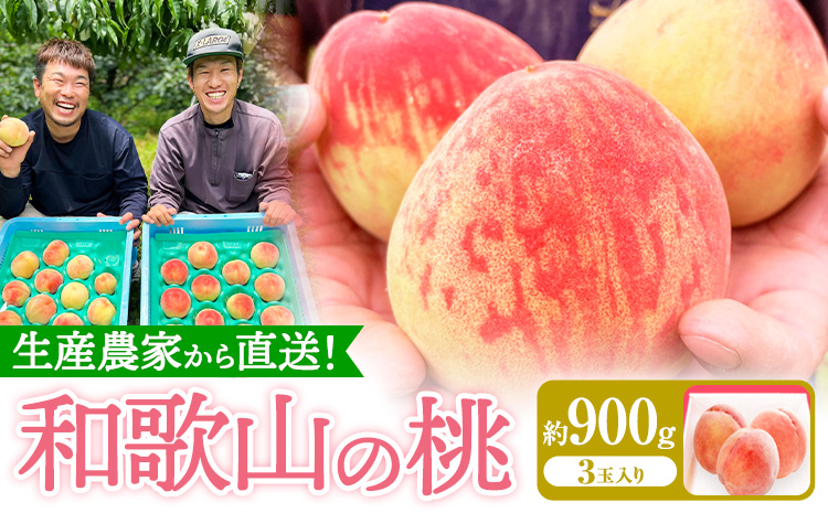 和歌山県産の桃 約900g (3玉入り) GREEN JUNCTION株式会社《2025年6月中旬-2025年8月末頃出荷》和歌山県 紀の川市 桃 果物 果実 フルーツ 自然栽培 送料無料