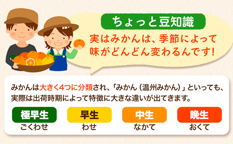 【訳あり/サイズ不選別】 和歌山みかん 約5kg 和歌山県産 《11月中旬から1月中旬に出荷予定(土日祝除く)》たっぷり ご家庭用 2L〜2S 産地直送 みかん 旬 蜜柑 ミカン 柑橘 果物 フルーツ 和歌山県 紀の川市(F-15)