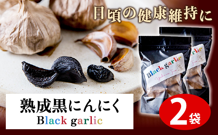 熟成黒にんにく2袋(1袋150g×2) ロイヤルリノベーション株式会社 《90日以内に出荷予定(土日祝除く)》 和歌山県 紀の川市