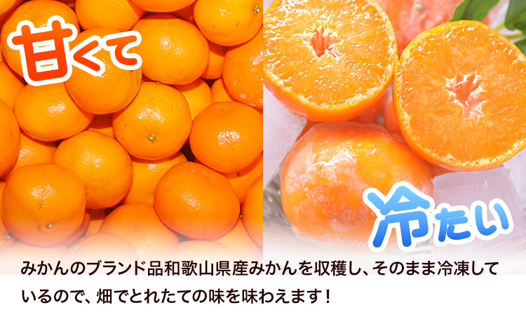 ご家庭用 冷凍みかん 約5kg【2S〜Sサイズ】 サンファーム《30日以内に出荷予定(土日祝除く)》和歌山県 紀の川市