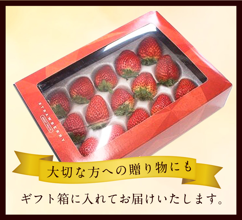 和歌山県産 観音山いちご（特選まりひめ）15玉 有限会社柑香園 《2023年1月末-2023年3月上旬頃より順次出荷》 和歌山県 紀の川市 苺  フルーツ 果物|JALふるさと納税|JALのマイルがたまるふるさと納税サイト